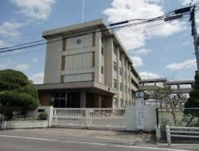 グリーンパキラ