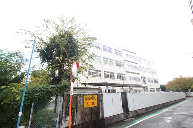 ブランニュー矢野