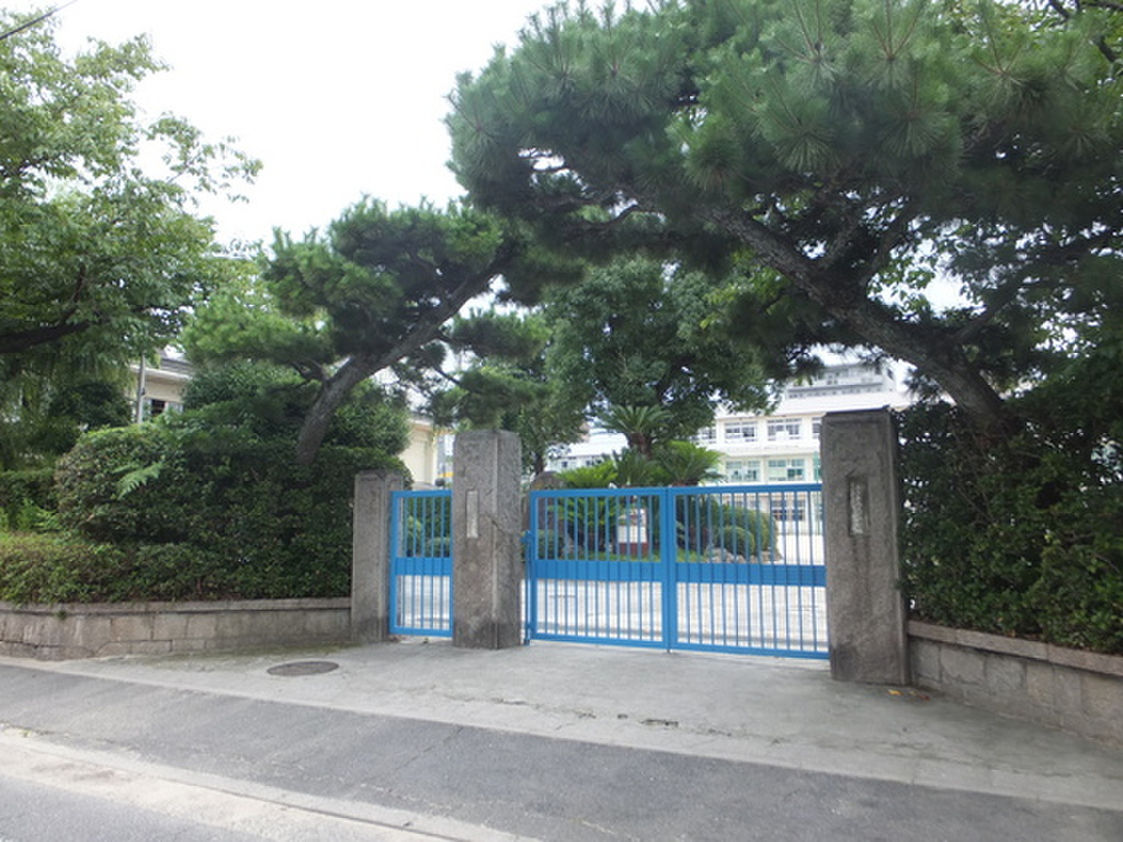 (5/8) 小学校 (5/8) 小学校