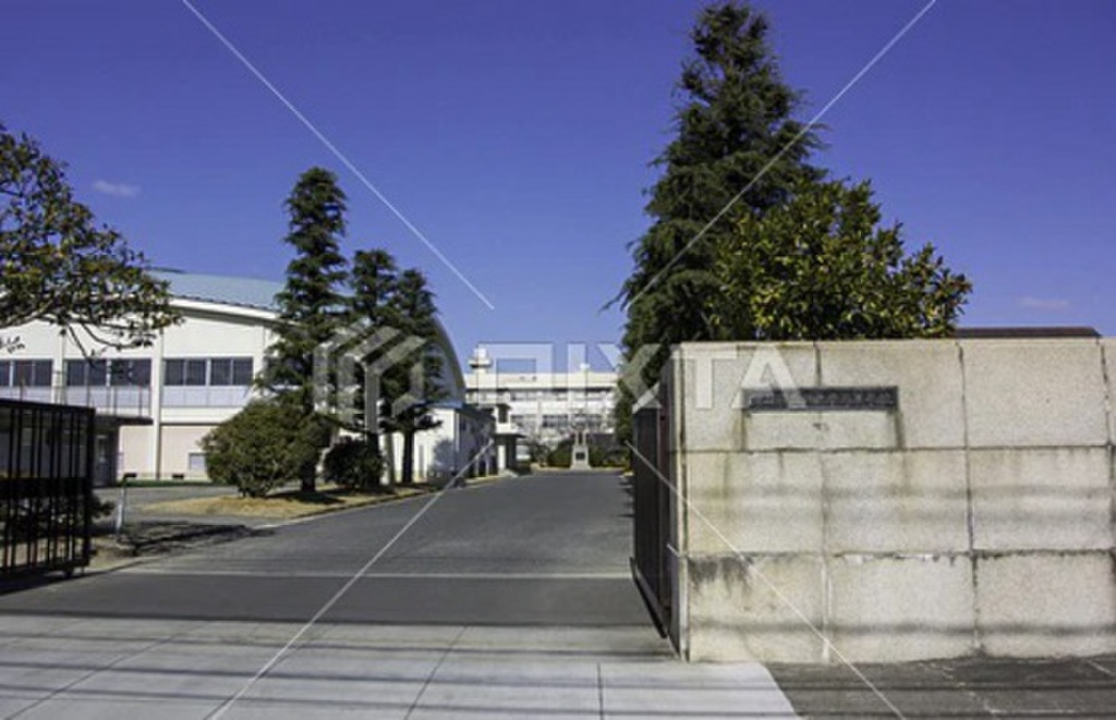 (20/20) 高校・高専 (20/20) 高校・高専