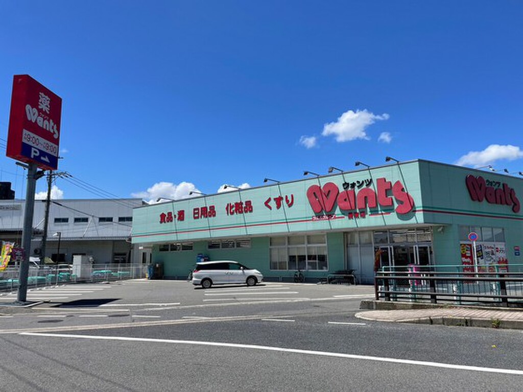 (17/21) ドラッグストア