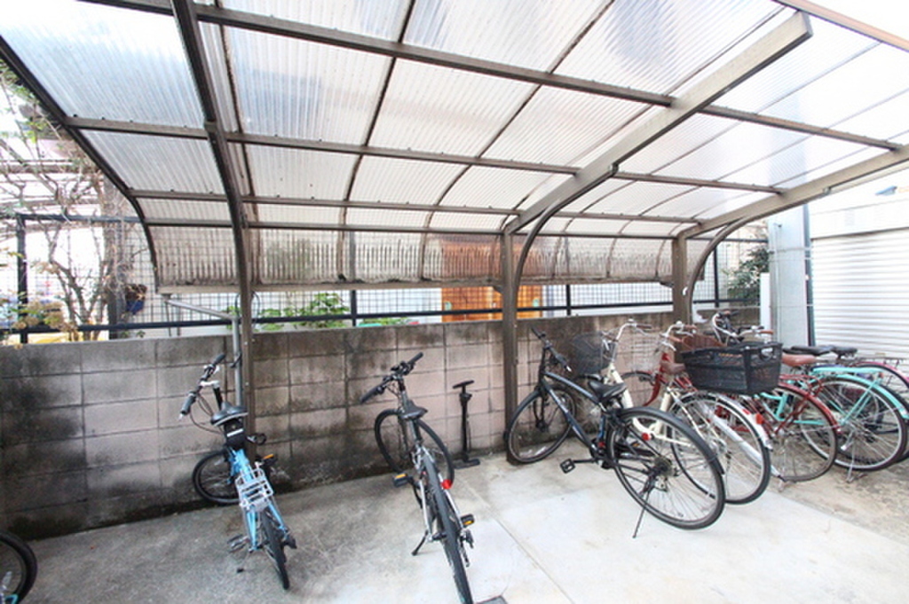 アミスタ―大供